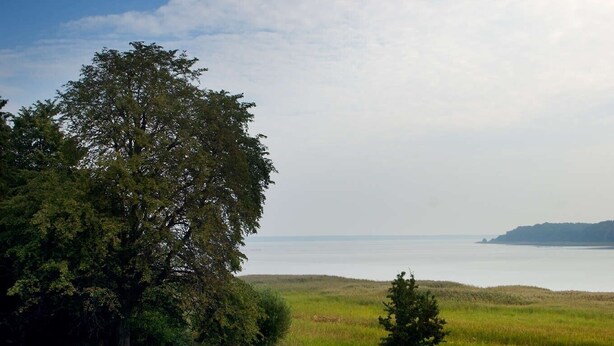 A grassy outdoor area with a group of people seated at a table, a large tree, and a view of a body of water. - Holiday Apartment "Gut Grubnow Rügen - 1" with Lake View, Shared Garden & Wi-Fi (Neuenkirchen)