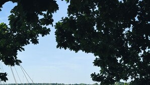 Satamassa oli useita erilaisia veneitä, ja sitä ympäröivät puut sekä kirkas taivas.