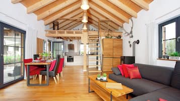 Fernseher, Kamin