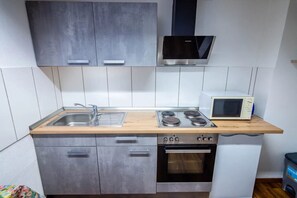 Fridge, microwave, oven, stovetop - Apartment 'Ferienwohnung Widdern' with Wi-Fi (Möckmühl)