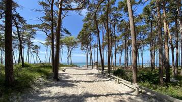 In Strandnähe