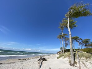 In Strandnähe