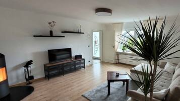 Fernseher, Kamin