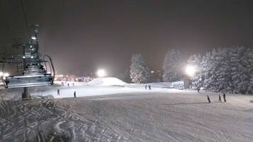 Sneeuw- en skisporten