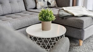 Un sofá gris con un cojín geométrico, una mesa redonda con base tejida y una pequeña planta en maceta.