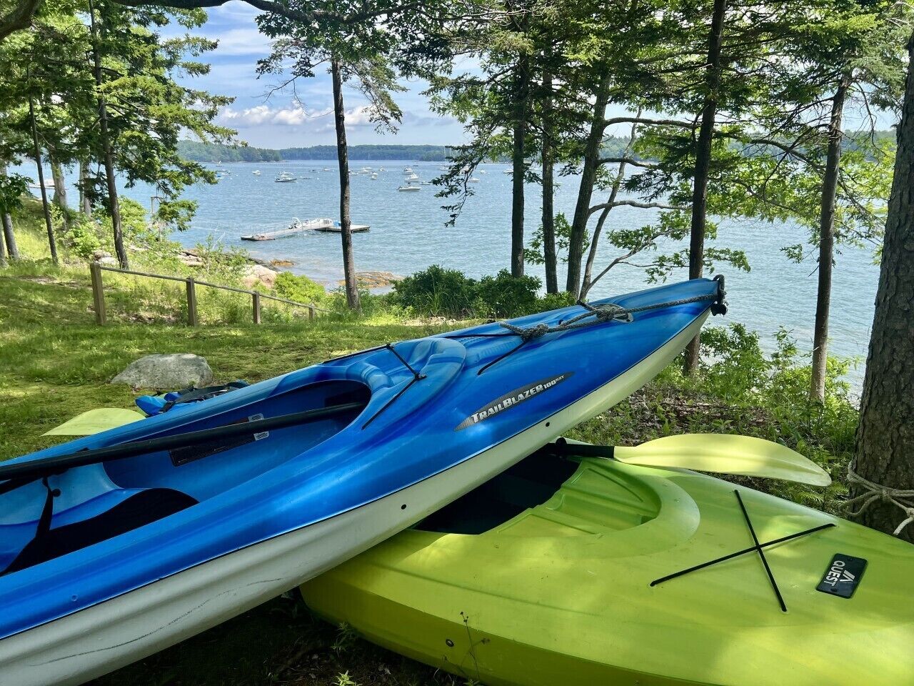 Two kayaks, one blue and one green, resting on a grassy area near a body of water with trees and a distant shoreline.