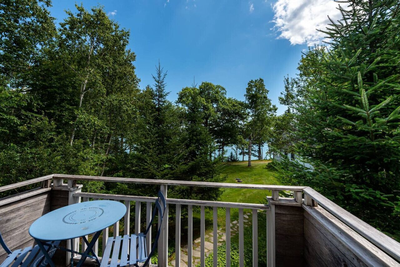 A wooden deck with a table and chairs, surrounded by dense trees and a clear sky.