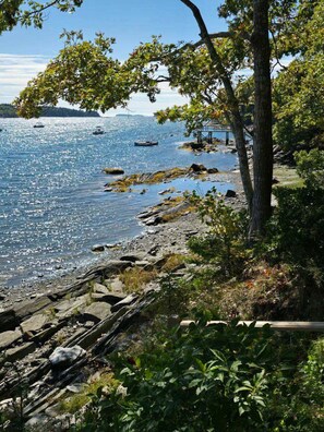 Miscellaneous - Mere Point Sunrise Views at Eastern Shore! (Brunswick)