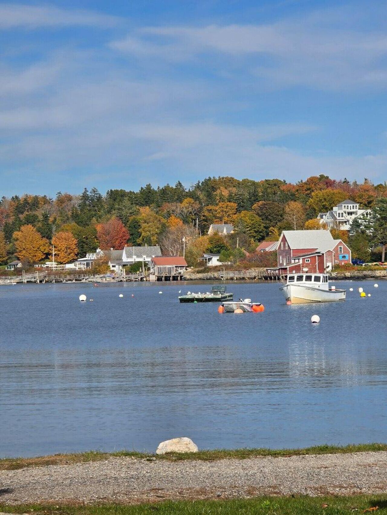 A waterfront scene with boats, a dock, and buildings with autumn foliage in the background.