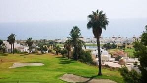 A golf course with palm trees and a view of a coastal town.