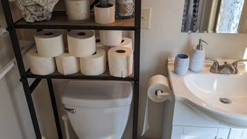 SĂšche-cheveux, serviettes fournies, savon, papier toilette