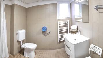 A bathroom with a toilet, shower, sink, and a mirror.
