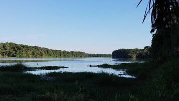 A natural landscape with a body of water, dense greenery, and a distant hill.