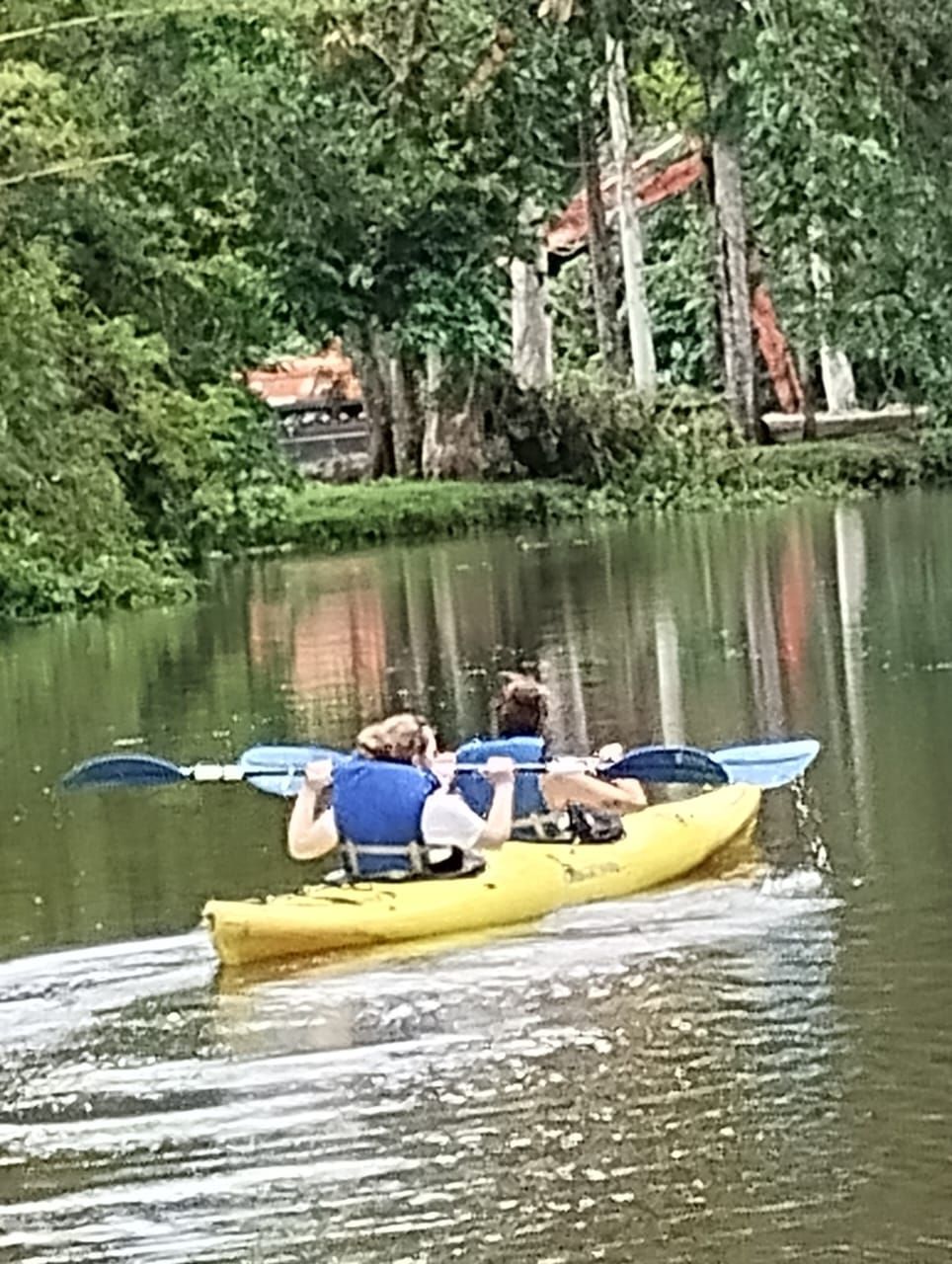 Un kayak jaune avec deux personnes qui pagayent sur une rivière paisible, entourée de verdure.