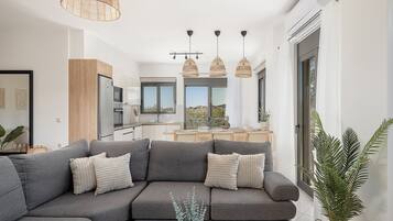 TV connectée, cheminée, livres