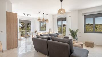 TV connectée, cheminée, livres