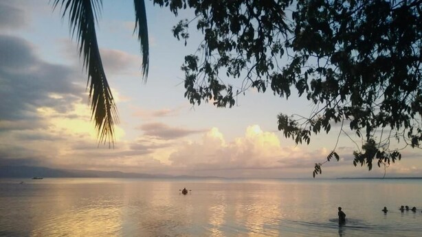 A beach scene with calm water, palm trees, and a sunset. - Cabinas Lawson (Puerto Jiménez)