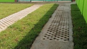 A concrete pathway leading to a building with green metal gates. - Cabinas Lawson (Puerto Jiménez)