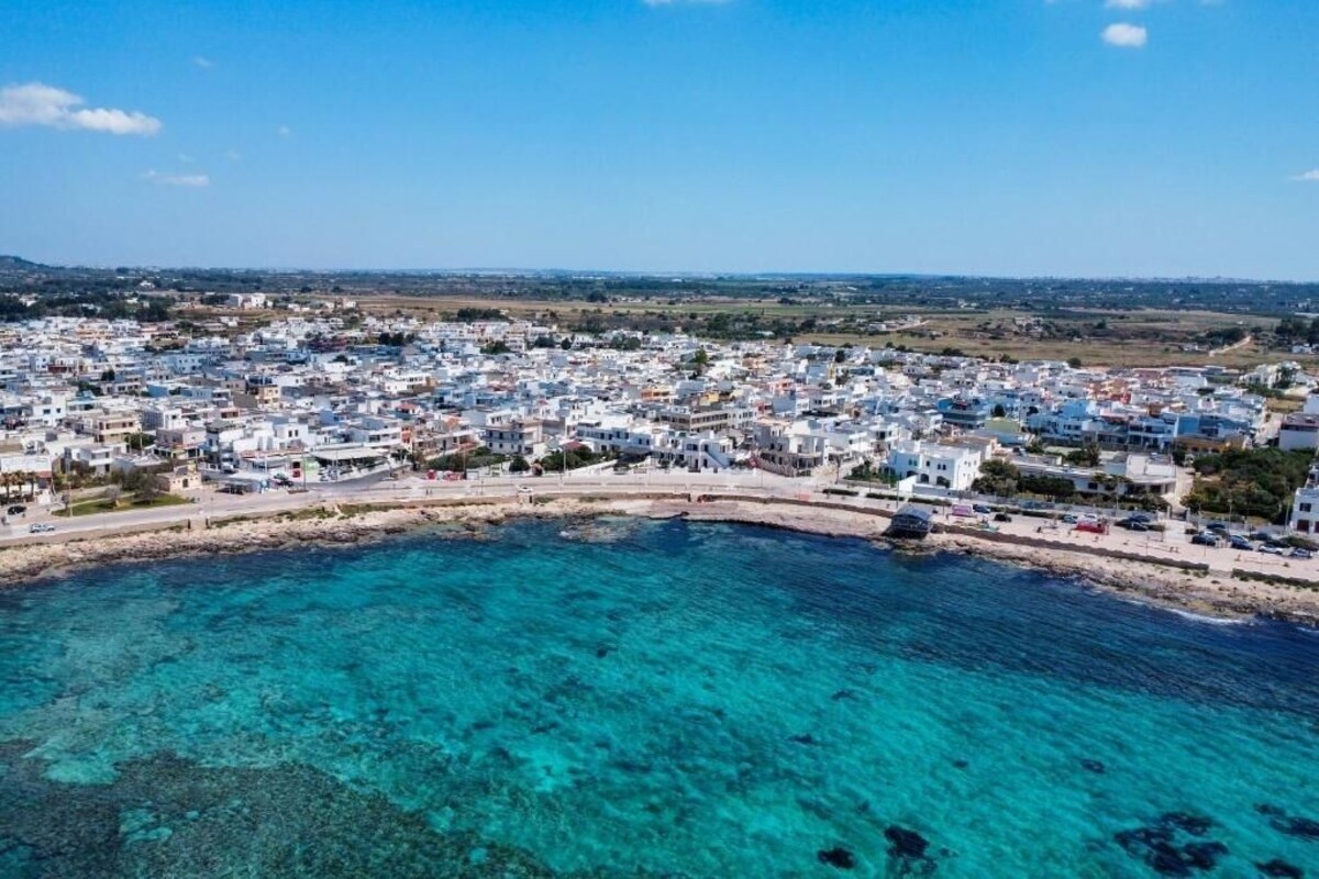 Imagen de perfil del propietario o de la propietaria