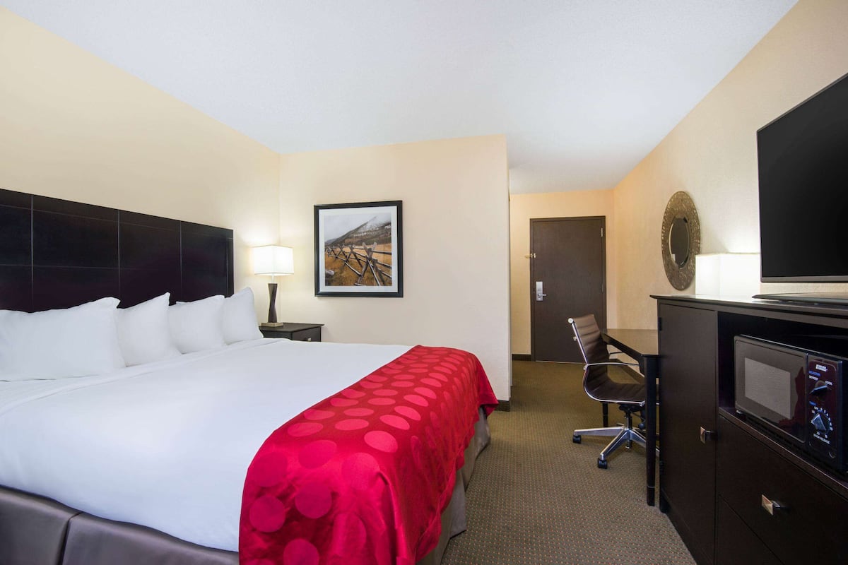 A hotel room with a large bed, a desk with a chair, a television, and a framed picture on the wall.