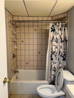 Hair dryer, towels, soap, shampoo