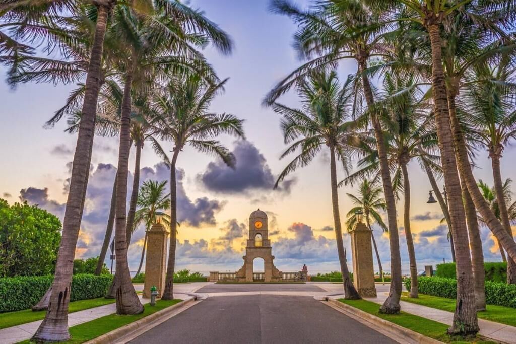A pathway flanked by palm trees leading to a historic building with a clock tower.