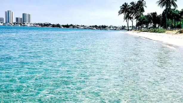 Ein Strand mit klarem türkisblauem Wasser, Palmen und einer entfernten Skyline einer Stadt.
