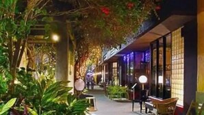 Ein Außenbereich mit Pflanzen und Tischen, der an eine Gastronomie oder Lounge erinnert.