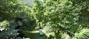 Beautiful private villa for 5 guests with WIFI, A/C, TV, patio, pets allowed and parking