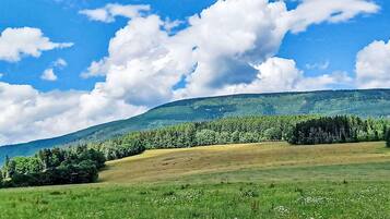 A green field with a hill in the background and a clear blue sky.