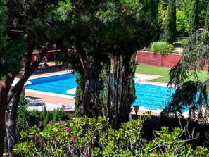 A swimming pool surrounded by trees and a red wall.