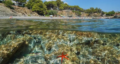 Appartement DE 1 Chambre