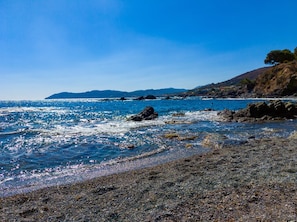 Nära stranden