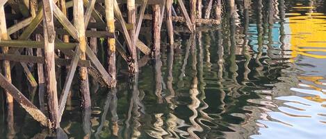 A wooden pier extending into calm water with reflections of the pier and surrounding structures.