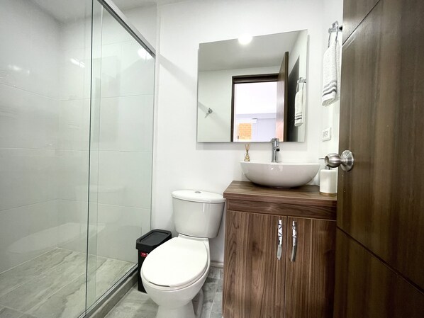A modern bathroom with a glass shower enclosure, a white toilet, a wooden vanity with a sink, and a mirror above the vanity.