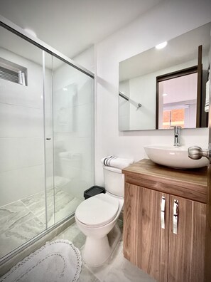 Bathroom features a glass-enclosed shower, toilet, and vanity with a large mirror.
