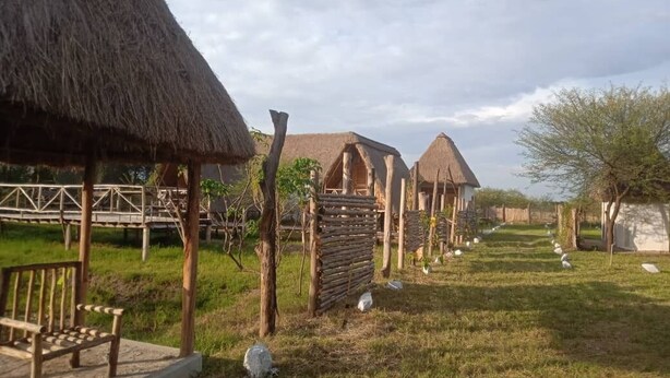A series of thatched-roof huts with wooden benches in a grassy area. - Real African Life Safaris and Camps (Bariadi)
