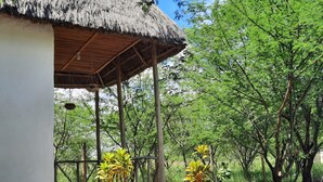 A wooden deck with potted plants, a thatched-roof structure, and surrounding greenery. - Real African Life Safaris and Camps (Bariadi)