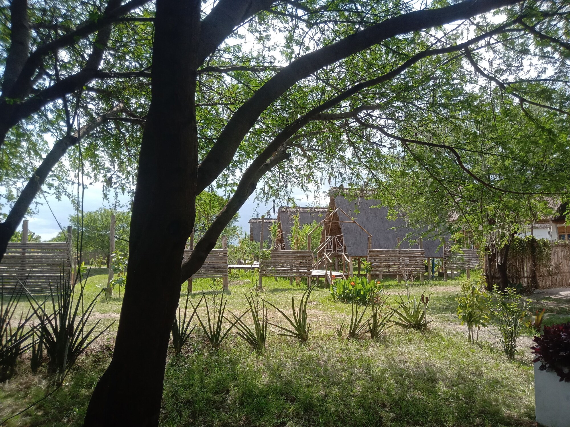 فنادق بتصنيف نجوم (2)