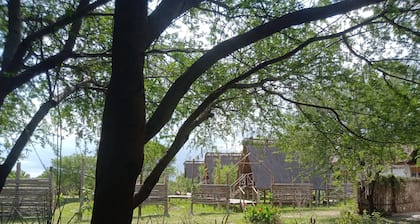 Real African Life Safaris and Camps