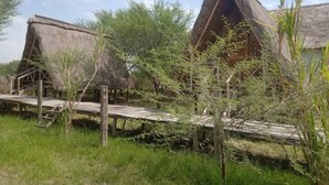 Thatched-roof huts with wooden walkways connecting them. - Real African Life Safaris and Camps (Bariadi)