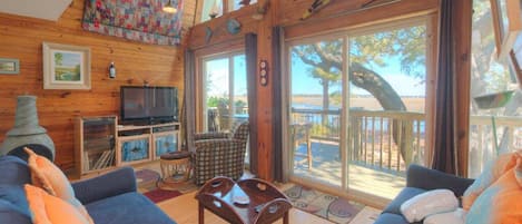 Smart TV, chimenea, reproductor de DVD y libros