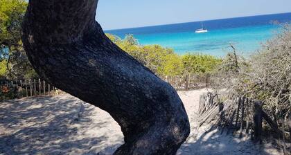 RĂȘves de sables en famille