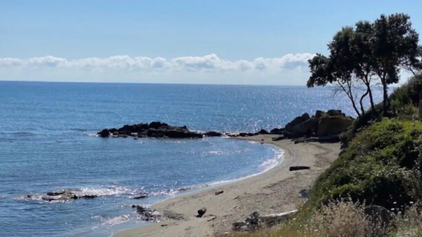 Una spiaggia con acque cristalline, una costa sabbiosa e qualche albero.