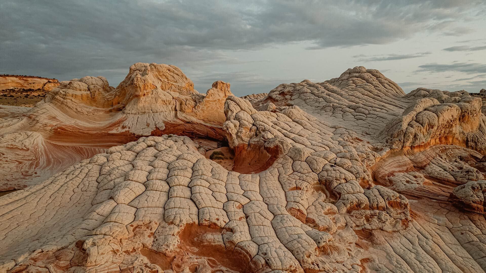 Have you dreamt of seeing the otherworldly landscapes of southern Utah? Book a hiking tour to White Pocket with ROAM Outdoor Adventure Co. and prepare to be awed! When you stay with us, you’ll receive a special discount on any adventure ROAM offers.