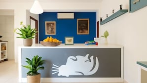 Un comptoir d’accueil avec un mur bleu, des œuvres d’art encadrées et un logo représentant un chat blanc.