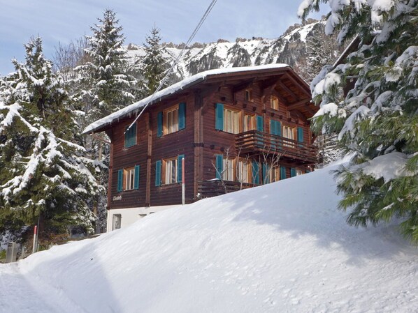 Exterior - Lovely apartment for 2 people with WIFI, TV and patio (Wengen)