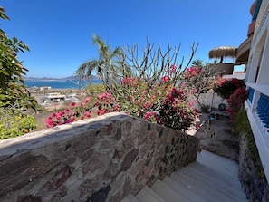 Property grounds - 323 Caracol Peninsula (San Carlos)