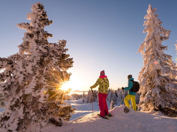 Sne- og skisport