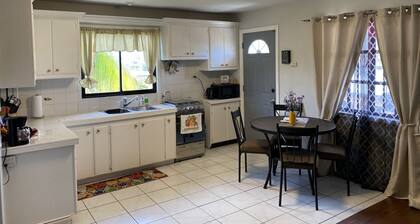 Coconut Drive Urban Oasis, San Fernando